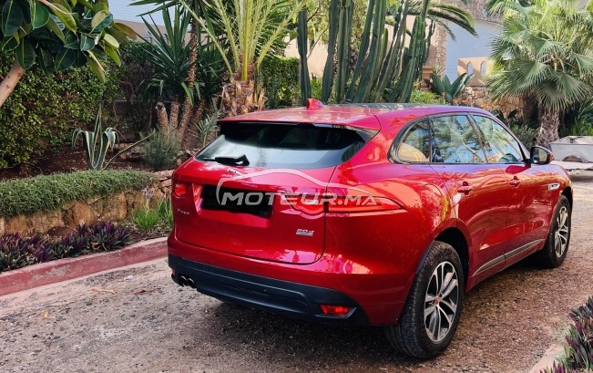 جاكوار ف-بأكي 20d مستعملة 1729707