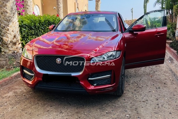 جاكوار ف-بأكي 20d مستعملة 1729701