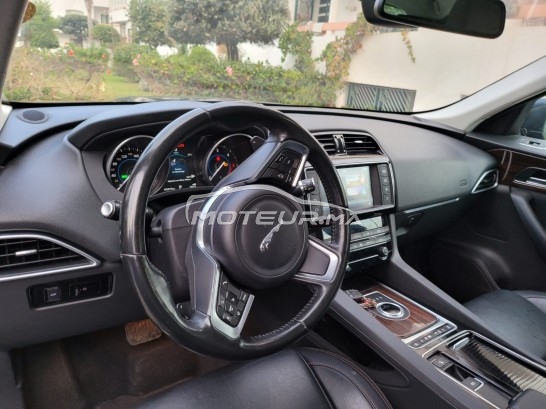 جاكوار ف-بأكي 20d مستعملة 1233836