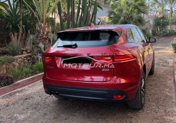 جاكوار ف-بأكي 20d مستعملة 1729706