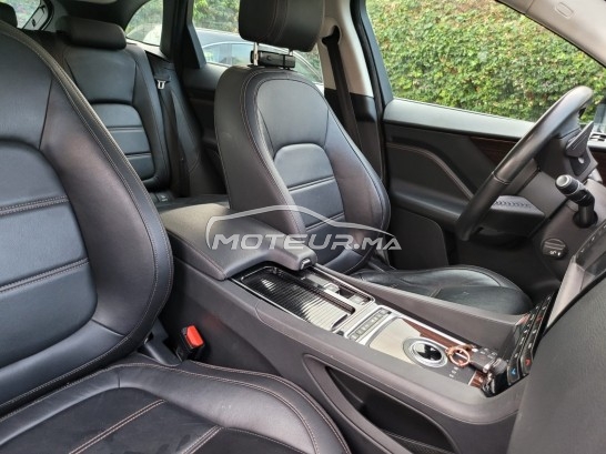 جاكوار ف-بأكي 20d مستعملة 1233838