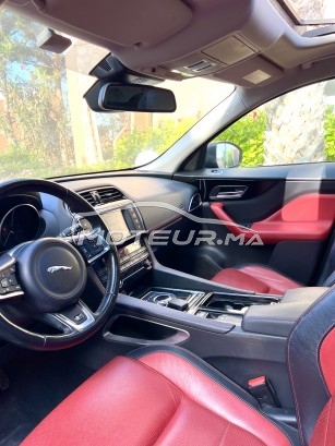 جاكوار ف-بأكي 20d مستعملة 1729702