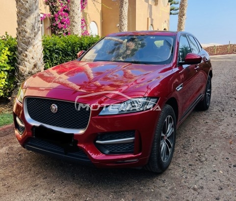 جاكوار ف-بأكي 20d مستعملة 1729704