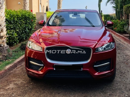 جاكوار ف-بأكي 20d مستعملة 1729709