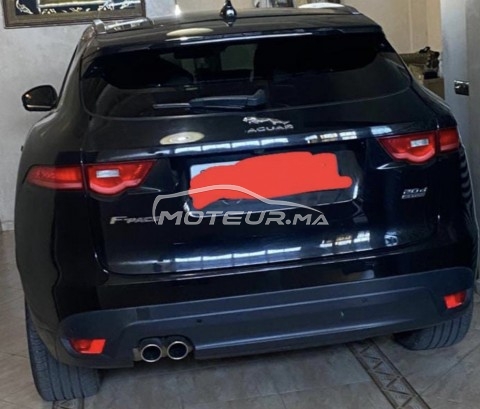 جاكوار ف-بأكي 20d مستعملة 1522338