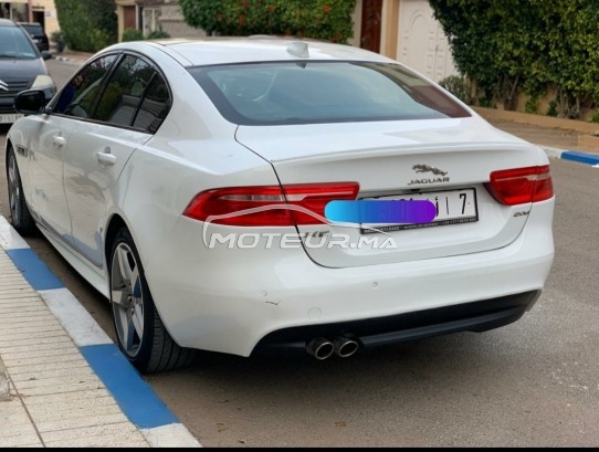 JAGUAR Xe R sport occasion 1397089