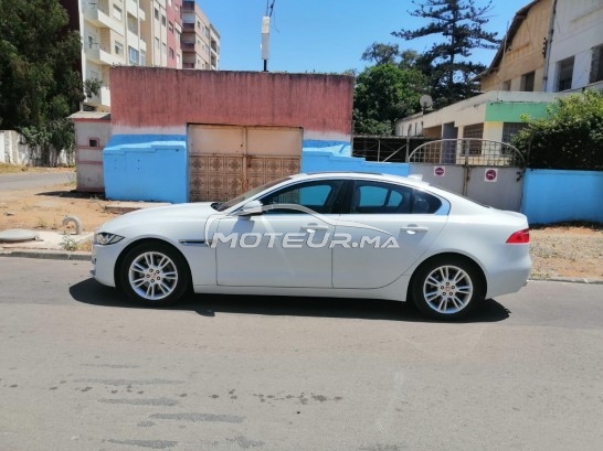 JAGUAR Xe occasion 1684518