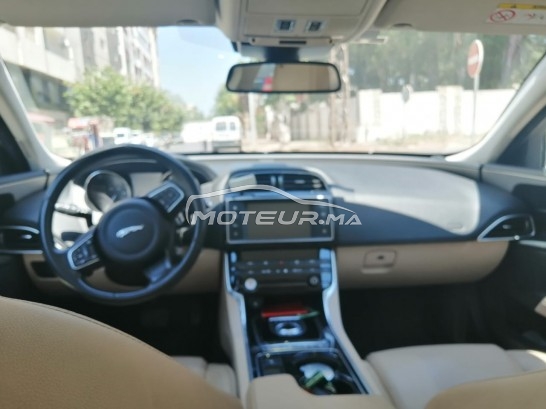JAGUAR Xe occasion 1684514