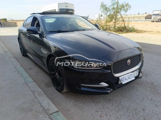 JAGUAR Xe occasion 3176111