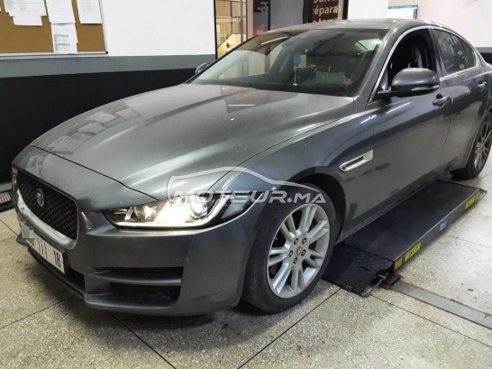 جاكوار كسي مستعملة 3556324