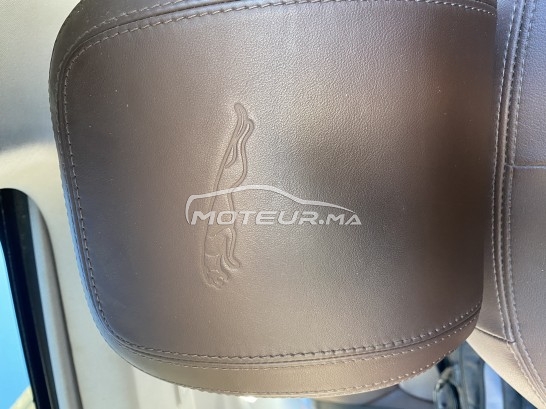 جاكوار كسي Portfolios مستعملة 2185019