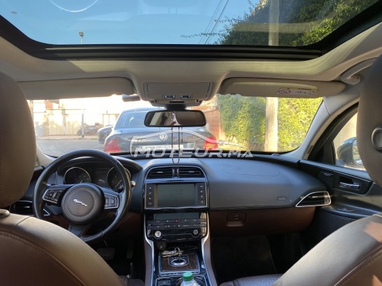 جاكوار كسي Portfolios مستعملة 2185023