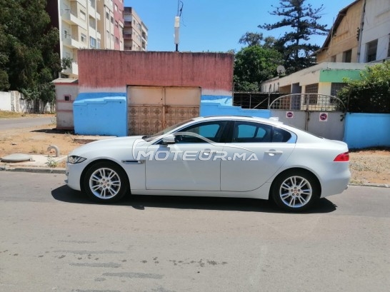 JAGUAR Xe occasion 1684517