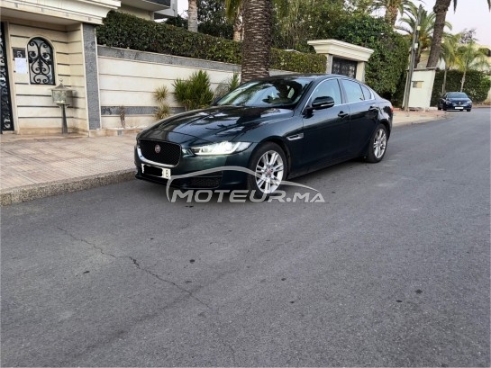 JAGUAR Xe مستعملة