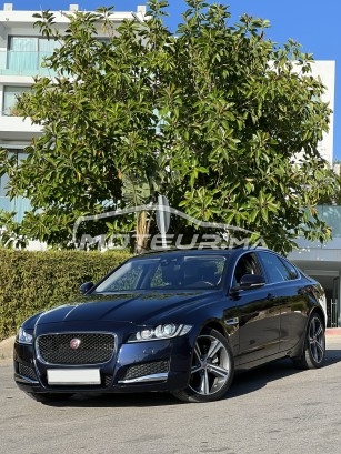 JAGUAR Xf 20d occasion 2000437