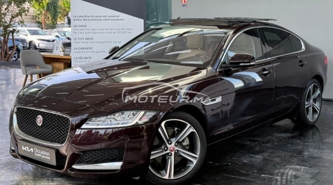 JAGUAR Xf occasion