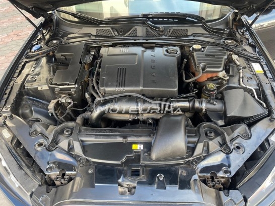 JAGUAR Xf occasion 1779439