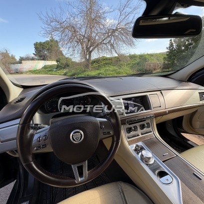 JAGUAR Xf occasion 3301325