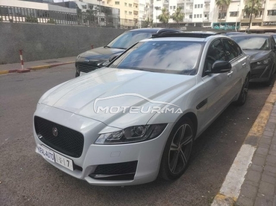 شراء السيارات المستعملة JAGUAR Xf في المغرب - 489478