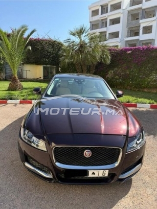 JAGUAR Xf occasion 2259652