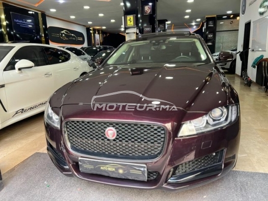 جاكوار كسف مستعملة 2596426