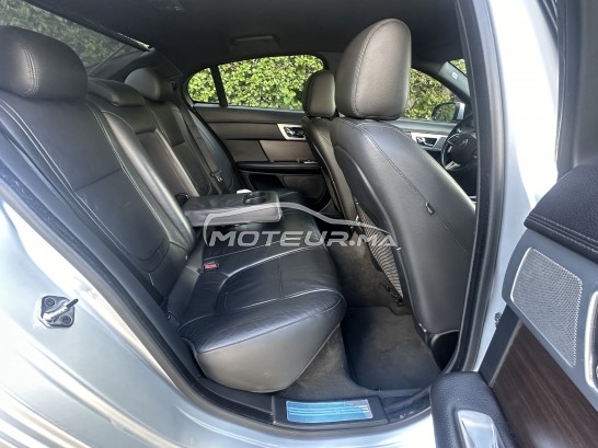 JAGUAR Xf Luxury occasion 1876385