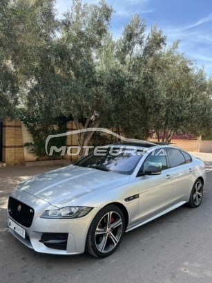 JAGUAR Xf occasion 1811713