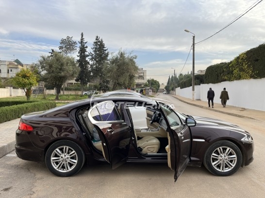 جاكوار كسف مستعملة 1828310