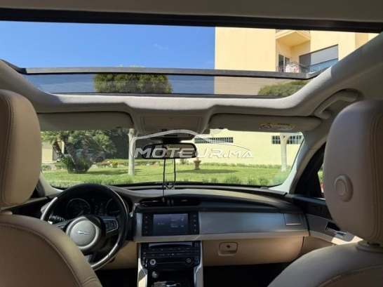 JAGUAR Xf occasion 2259659