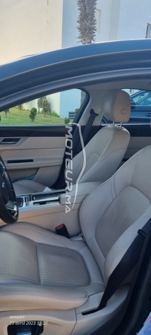 JAGUAR Xf Black edition occasion 1610905