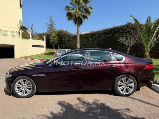 JAGUAR Xf occasion 2259650