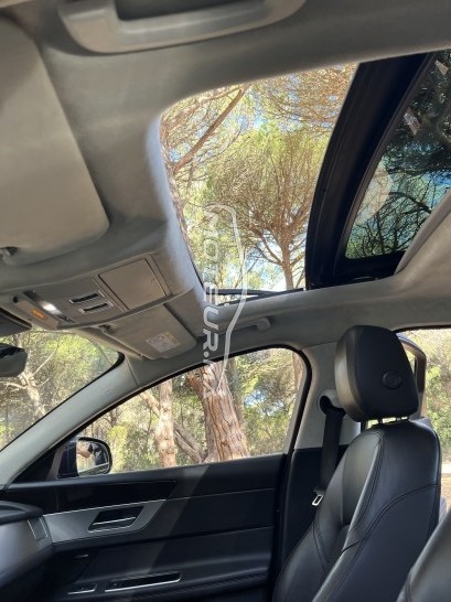 JAGUAR Xf 20d occasion 2000438