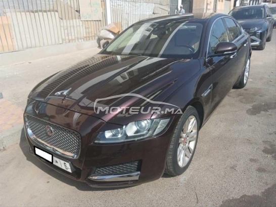 Acheter voiture occasion JAGUAR Xf au Maroc - 478990
