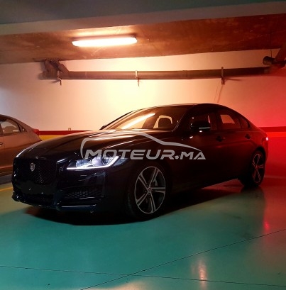 JAGUAR Xf Black luxury edition occasion 3106558