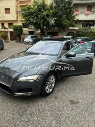 جاكوار كسف مستعملة 2979530