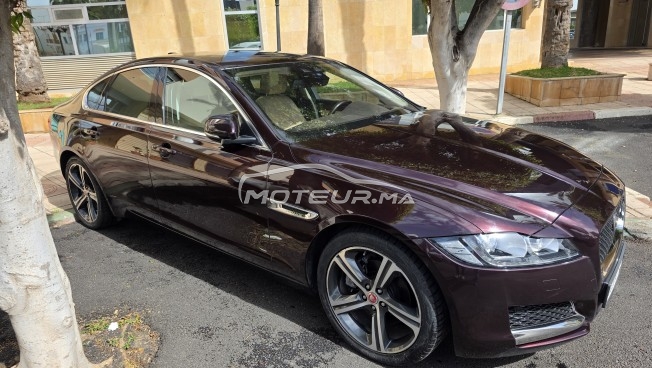 جاكوار كسف Sport toutes options مستعملة 3548402