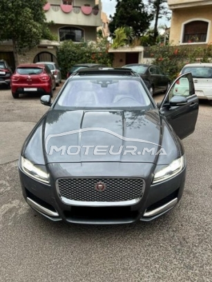 جاكوار كسف مستعملة 2979538