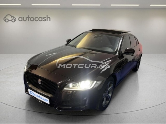 Acheter voiture occasion JAGUAR Xf au Maroc - 489632