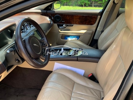 جاكوار كسج Luxuary premium مستعملة 1176755