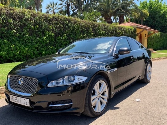 جاكوار كسج Luxuary premium مستعملة 1176956