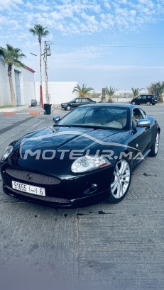 JAGUAR Xk Coupé occasion 1694385