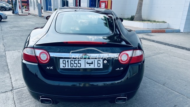 JAGUAR Xk Coupé occasion 1694381