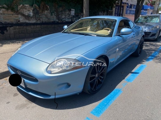 JAGUAR Xk occasion 1651304