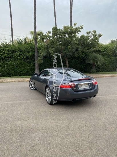 JAGUAR Xk 4.2 occasion 1194588