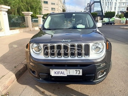 جيب رينيجادي مستعملة 2976749