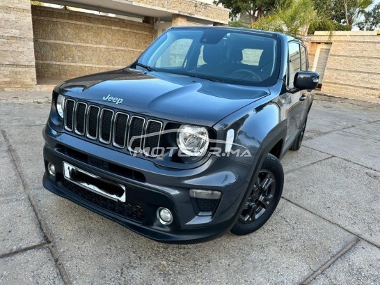 جيب رينيجادي مستعملة 2393698