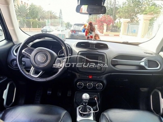 جيب رينيجادي مستعملة 2976758