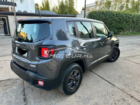 جيب رينيجادي مستعملة 2393686