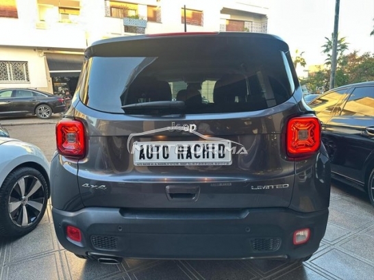 جيب رينيجادي مستعملة 2952950