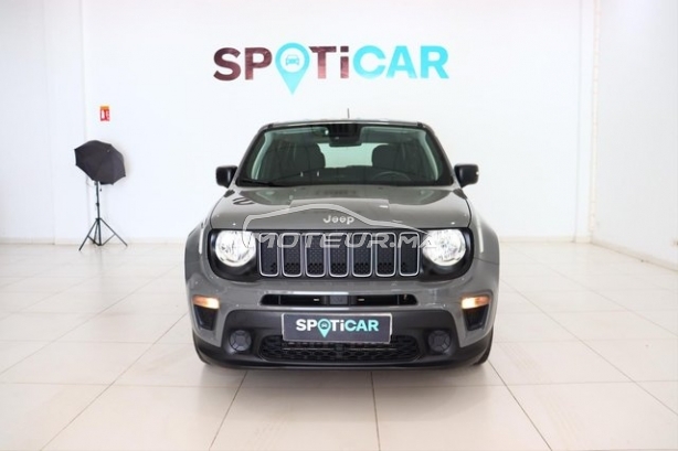 جيب رينيجادي مستعملة 3419980